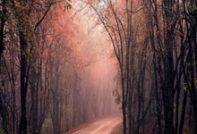 斯诺克红包赛:小特延续纪录,中国5将出战,丁.:旺财28