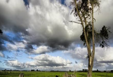 [CBA]段昂君击地妙传 米奇单臂暴扣得手.：旺财28