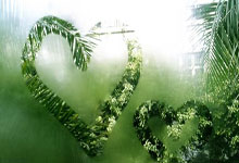 辽宁男篮116:90战胜山东男篮,位列CBA常规赛第4名.:旺财28