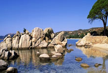 官宣：篮网裁掉崔永熙 因膝伤本赛季提前报销.